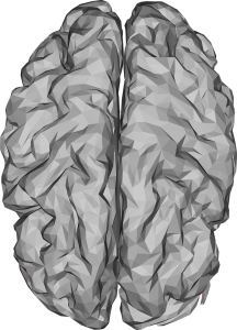 brain, low poly, polygons-3176780.jpg